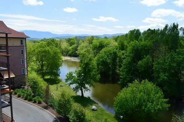 little pigeon river
