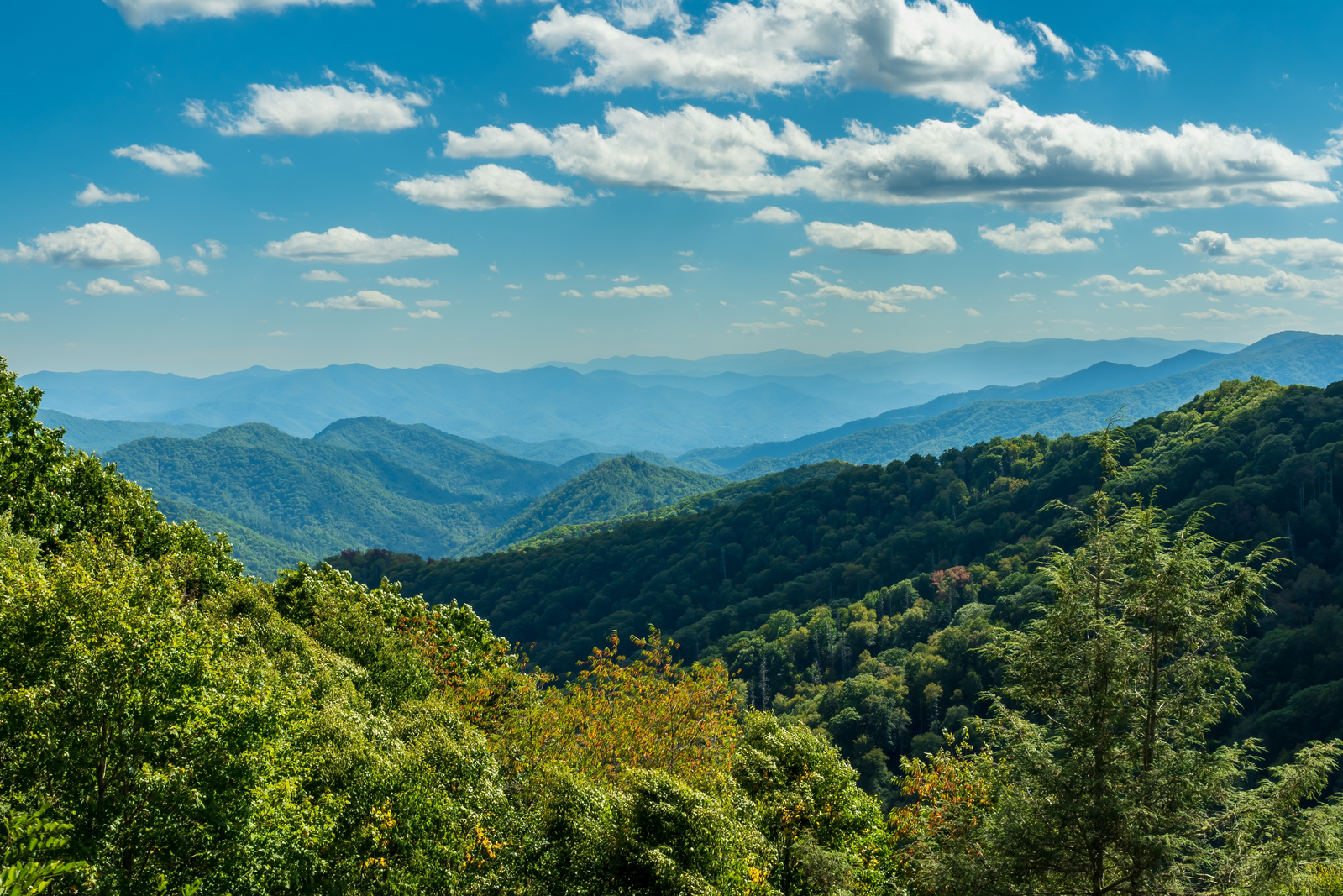 shutterstock_2207661055