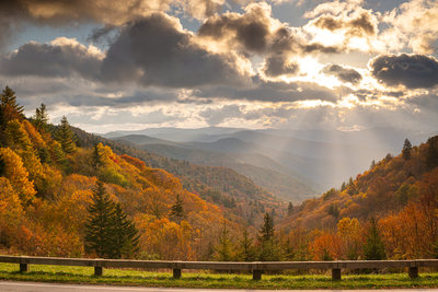 Newfound Gap fall view