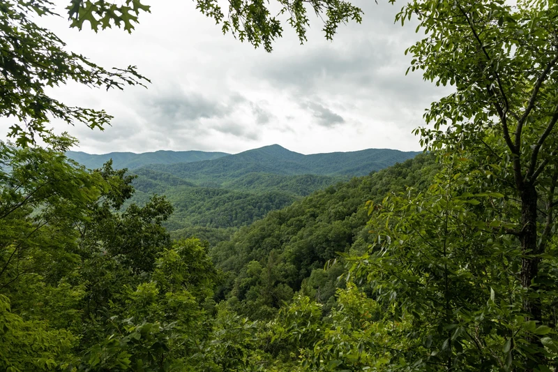 view of the Smoky Mountains in summer