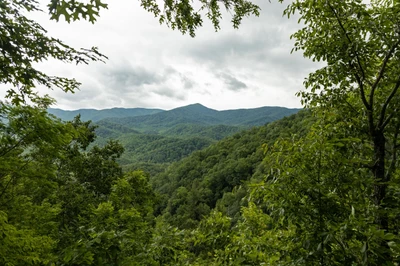 view of the Smoky Mountains in summer