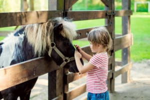 little girl petting a pony