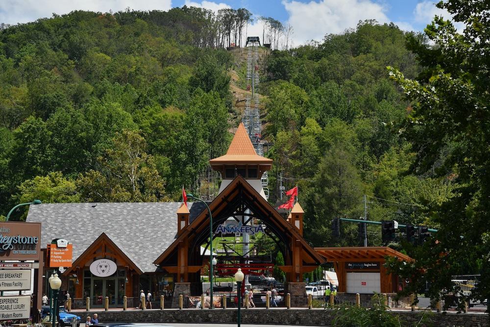 Top 5 Fun Things to Do in Gatlinburg With Kids