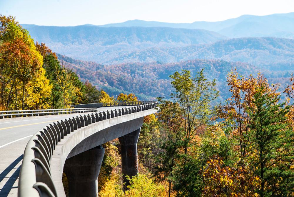 Top 5 Scenic Drives in the Smoky Mountains You Should Take