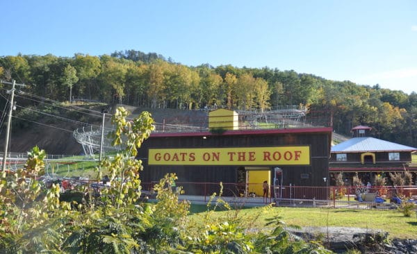 goats on the roof pigeon forge