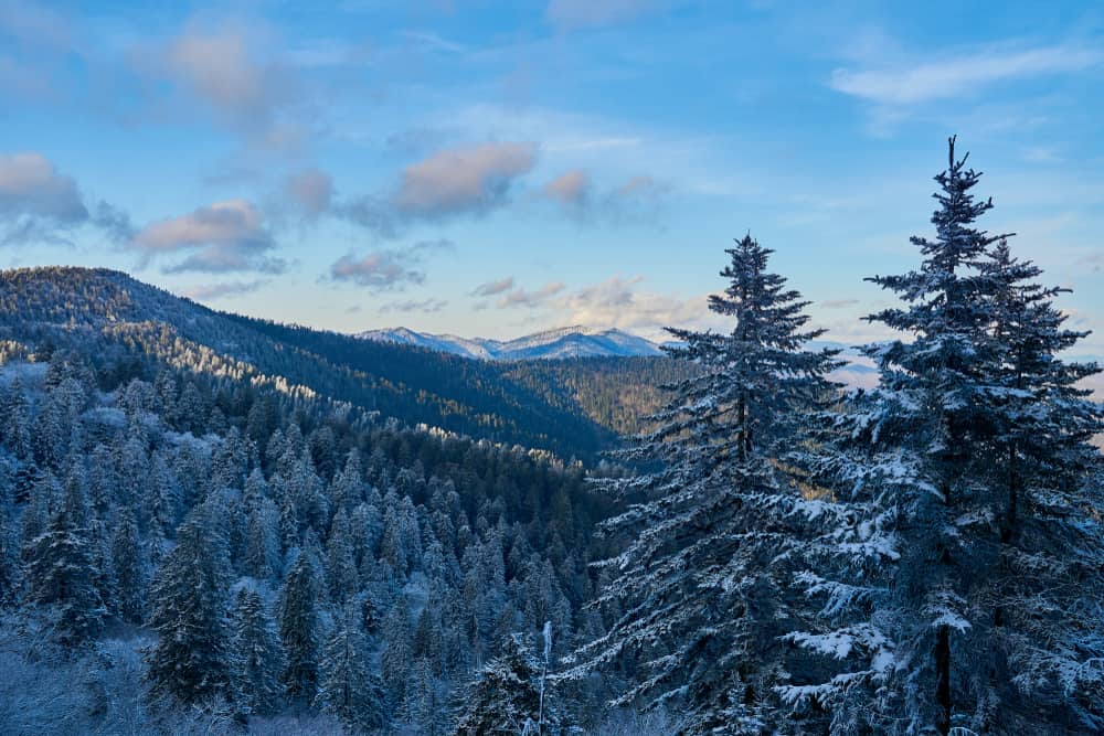 Top 6 Things to Do in the Smoky Mountains in January